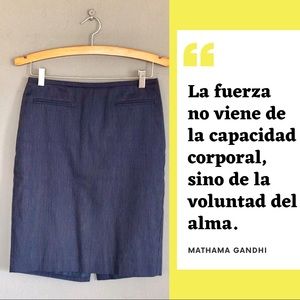 The professional skirt
